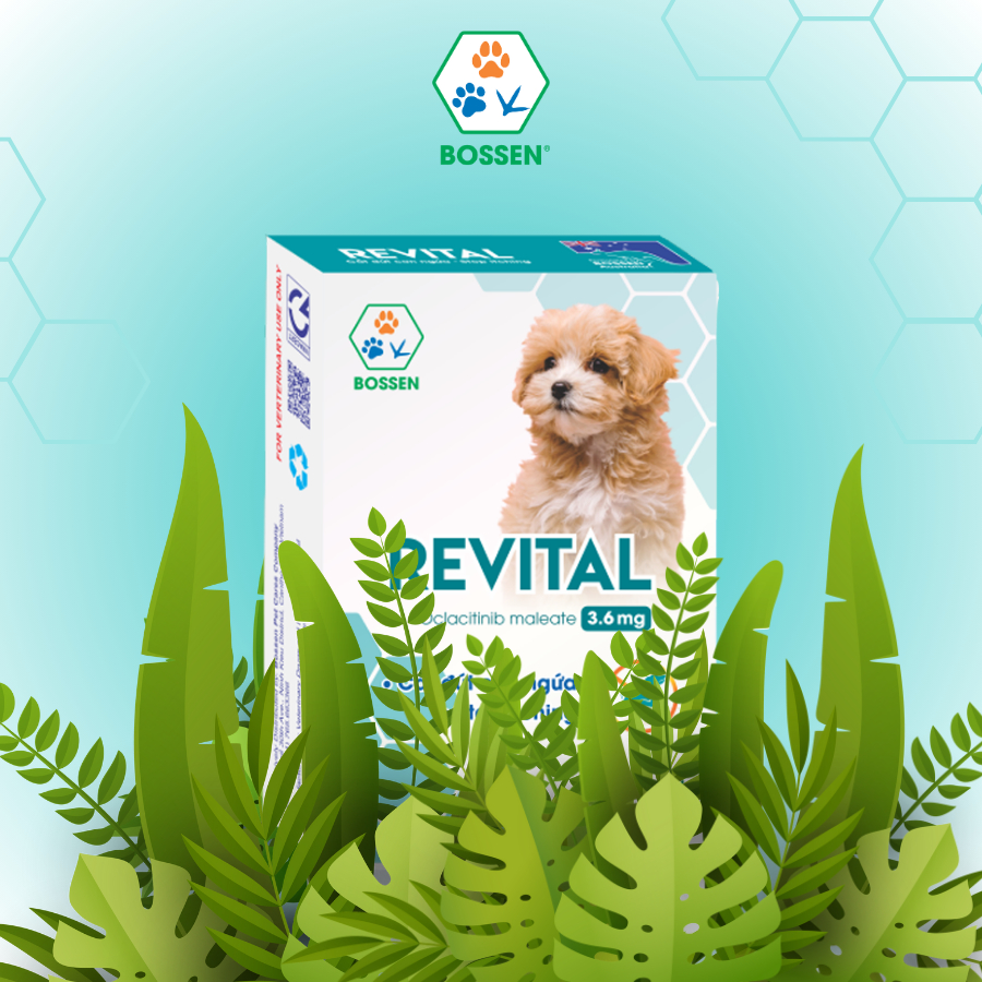 BOSSEN - Revtal (cho chó) Thực phẩm bổ sung 3,6 mg giúp giảm ngứa, 1 hộp 10 viên