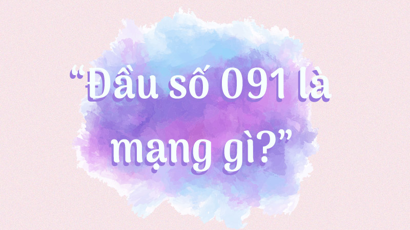 Số 091 là mạng nào? Ý nghĩa của số 091 là gì? Có phải là một con số rất hấp dẫn không? - Thegioididong.com